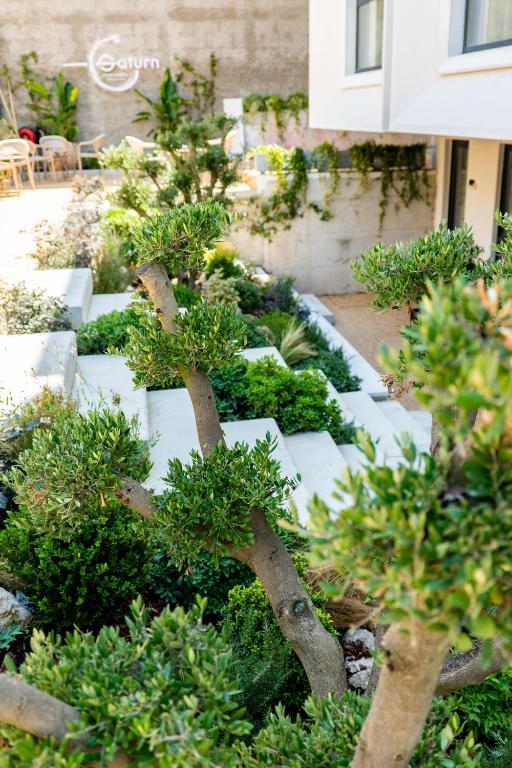 Saturn Hotel Garden Oasis